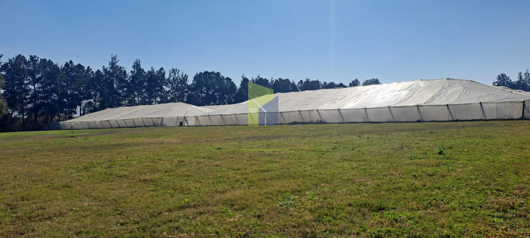 VENTA - CASA QUINTA PRODUCTIVA DE 10 HECTAREAS EN MONTEROS, TUCUMAN