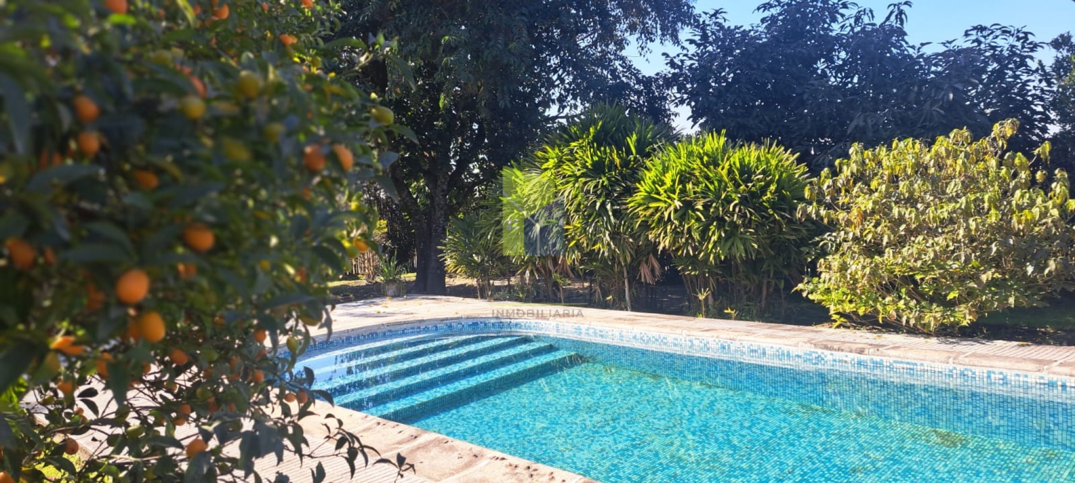 VENTA - CASA QUINTA PRODUCTIVA DE 10 HECTAREAS EN MONTEROS, TUCUMAN